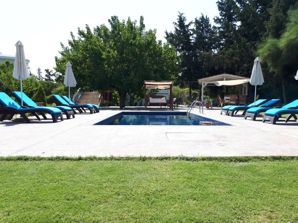 Villa Dora Faliraki Exterior photo
