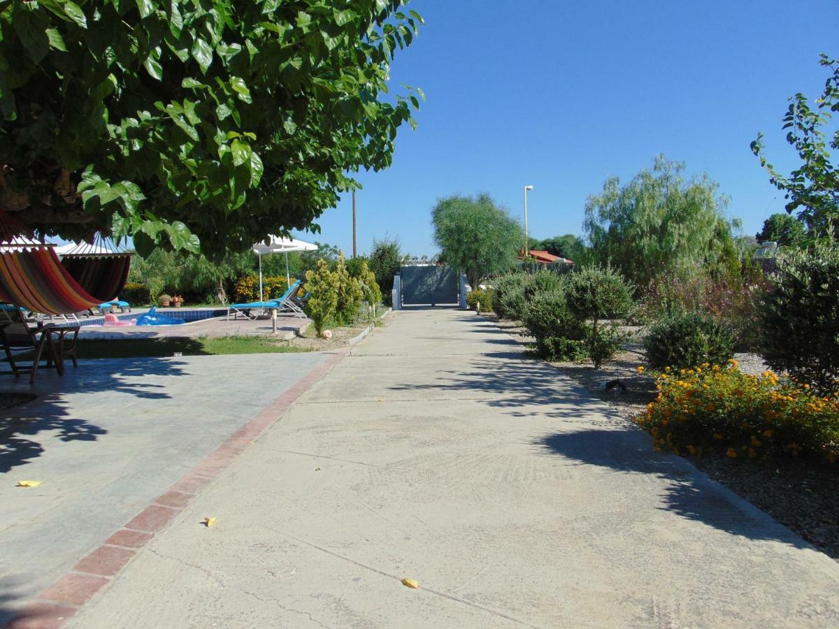 Villa Dora Faliraki Exterior photo